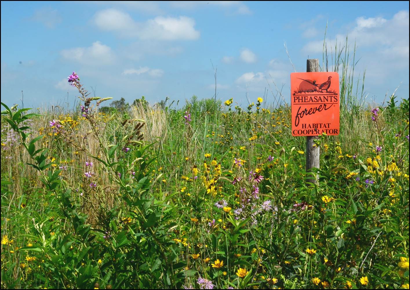 Pheasants Forever Habitat Store